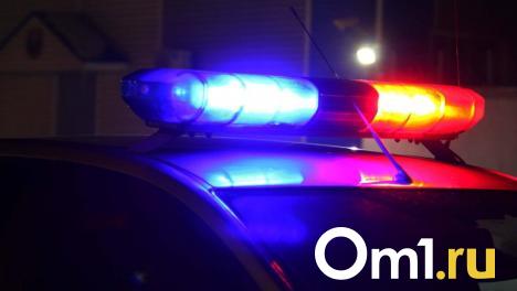 В Омске распространяют фейк о жуткой аварии с двумя погибшими