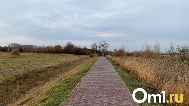 Омичей попросили воздержаться от посещения «Птичьей гавани»