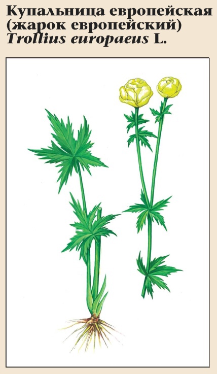 Изображение фоторепортажа