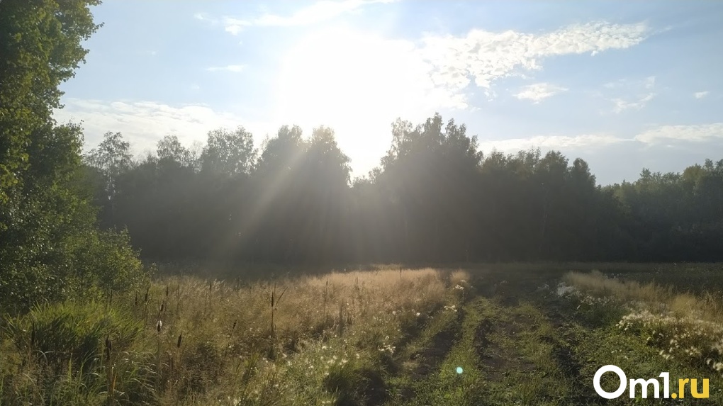 Погода в омске новости дождь