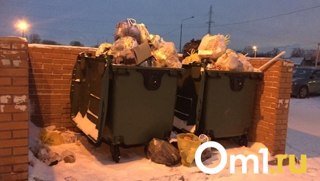 Качество вывоза мусора в Новосибирске проверили инспекторы МинЖКХ