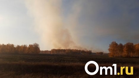 Жители Омска дважды за сутки дышали пылью