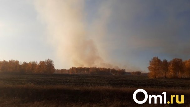 Жители Омска дважды за сутки дышали пылью