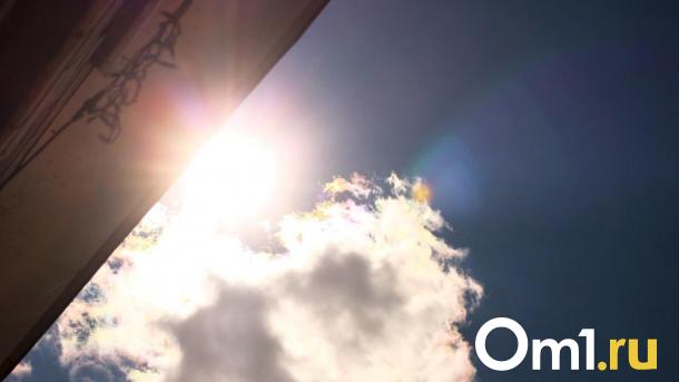 Как выжить в +30 °C: неочевидные ошибки, которые совершают новосибирцы