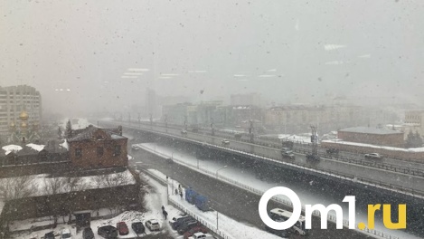 МЧС предупреждает: Омск ночью накроют сильный ветер, дождь и снег