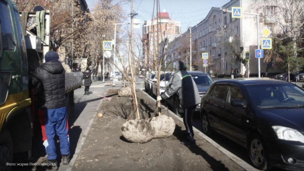 Мэрия облагородит улицу Урицкого в Новосибирске за 13 миллионов рублей