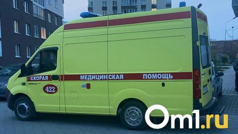 Мэр Омска Шелест прокомментировал случай с девочкой, выпавшей с 13 этажа