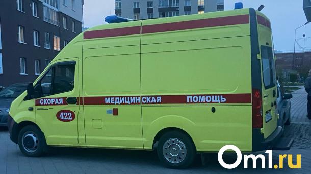 Мэр Омска Шелест прокомментировал случай с девочкой, выпавшей с 13 этажа