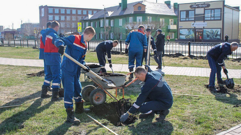 В Новосибирске проходят экологические акции в честь 90-летия электросетей