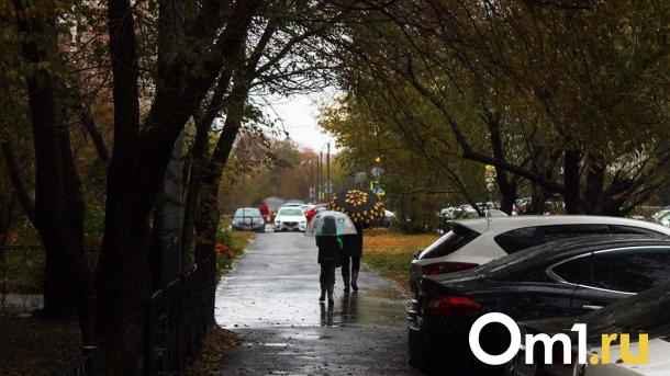Лето встретит омичей дождём и туманом