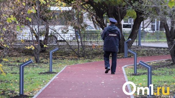 В Омске вандалы сломали спортивную площадку в центре города