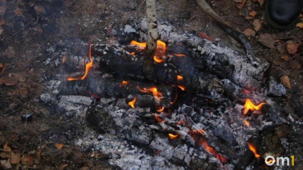 Новосибирск готовится к возможному росту лесных пожаров