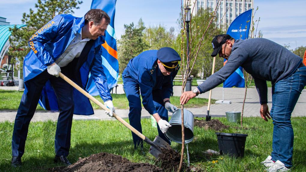 Три тысячи высаженных деревьев: как Омский НПЗ вносит вклад в улучшение городской среды