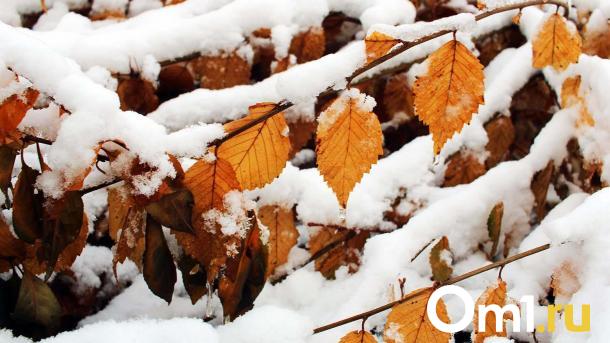 Мощное похолодание: в Омской области температура опустится до -14 градусов