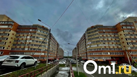Омская область получит 700 млн рублей на строительство дорог и троллейбусной сети на Левобережье