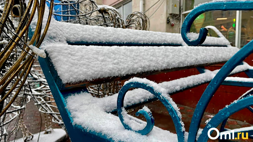 Ураганы и снегопад: чего ожидать новосибирцам от новой ноябрьской недели, рассказали синоптики