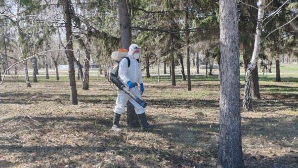 В Омске начали обрабатывать от клещей парки и скверы