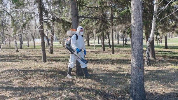 В Омске начали обрабатывать от клещей парки и скверы