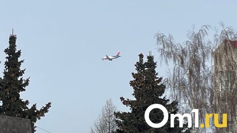 Омичи-ждуны: аэропорт назвал непунктуальных перевозчиков марта