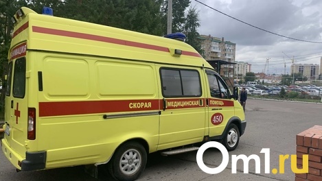 «Влетел в грузовик»: мотоциклист попал в больницу после аварии в Новосибирске. ФОТО