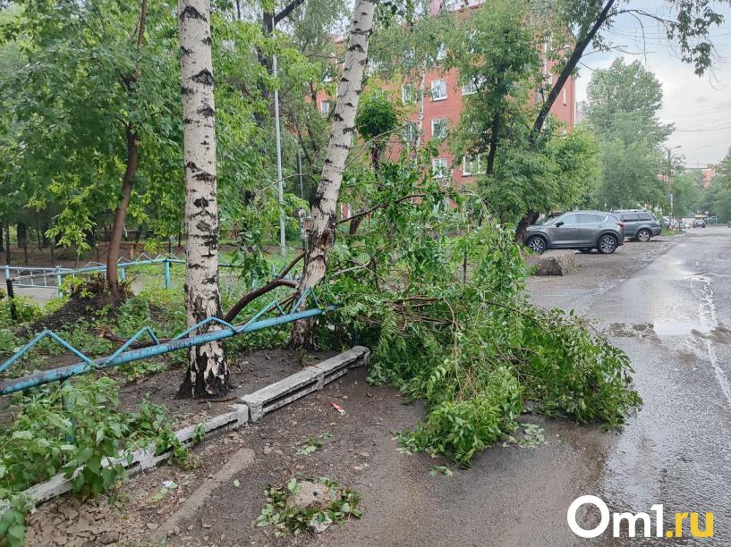 Изображение фоторепортажа