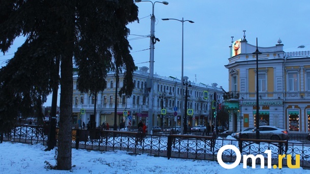 Городской пикник в Омске вновь сменил дислокацию