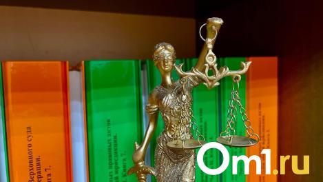 В Омске будут судить мужчину по делу о гибели пешехода