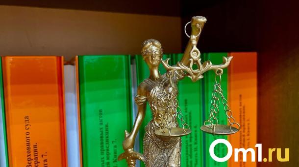 В Омске будут судить мужчину по делу о гибели пешехода