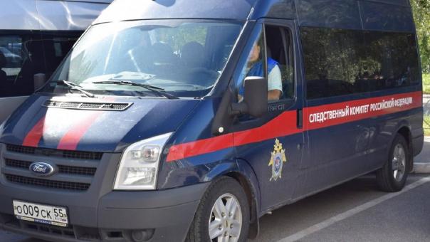 Глава СК Бастрыкин потребовал доклад о насилии в детском саду Новосибирска