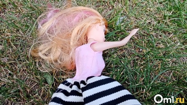 Девочка пострадала от развратных действий мужчины в Ленинском районе Новосибирска