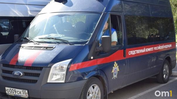 Глава СК Бастрыкин затребовал доклад о делах нарушения миграционного законодательства в Новосибирске