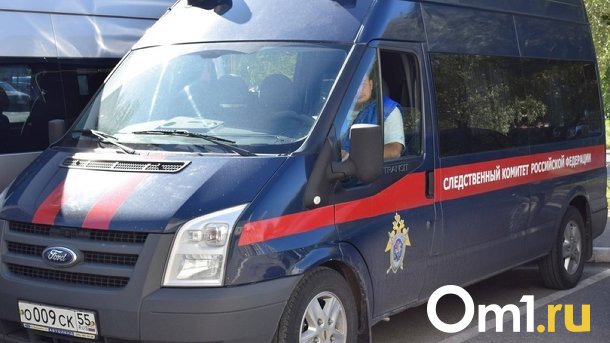 Глава СК Бастрыкин затребовал доклад о делах нарушения миграционного законодательства в Новосибирске