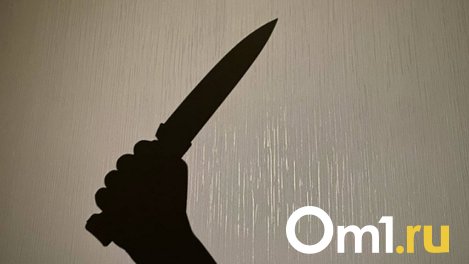 Омичка ночью зарезала сожителя ударом в грудь