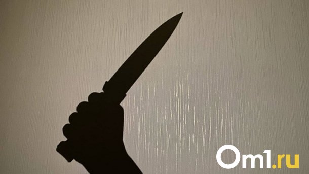 Омичка ночью зарезала сожителя ударом в грудь