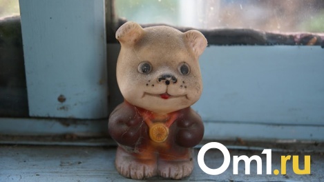 Полмиллиона компенсации и 12 лет колонии. Омскому педофилу вынесли приговор за изнасилование девочки