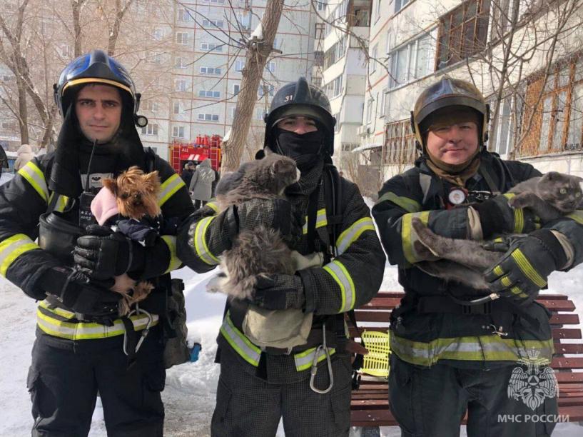Изображение фоторепортажа