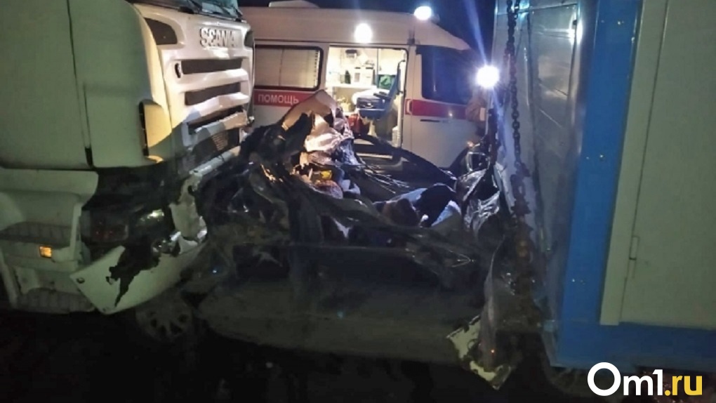 СМИ: грузовиком, унесшим жизни четырёх новосибирцев, управлял опытный водитель из Омска
