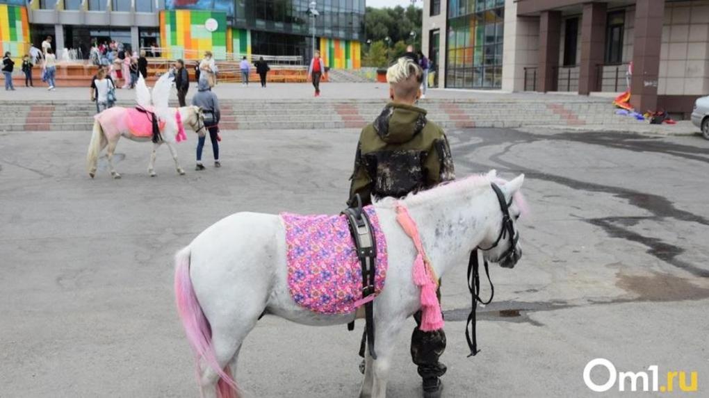 Принцесса на белом коне: омичей удивила наездница в центре города