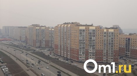 Омск заволокло дымом от пожаров