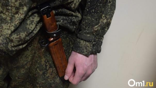 В Омской области браконьеры за ночь застрелили семь косуль, лося и зайца