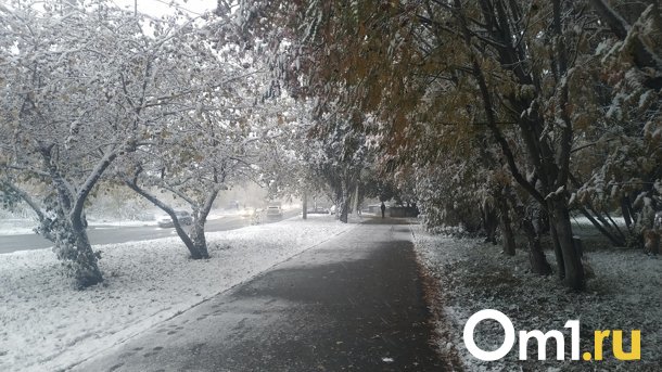 Объявлена дата первого снегопада в Новосибирской области
