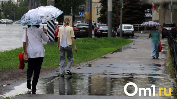 В районе Омской области ввели режим повышенной готовности из-за сильных дождей