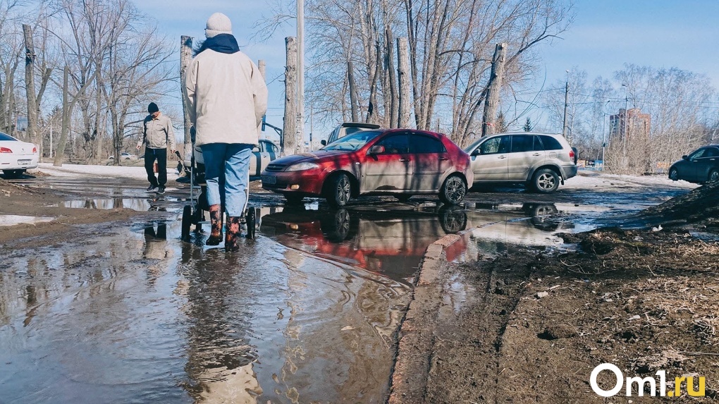 «Зимой снег, летом пыль»: депутаты Заксобрания раскритиковали мэрию Новосибирска за дыры на дорогах