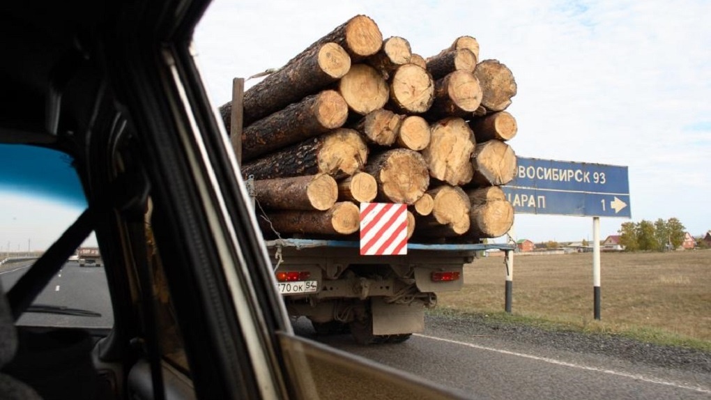 «Бесплатный лес» уйдет с «черного рынка»: в Новосибирске поставили на контроль льготную древесину