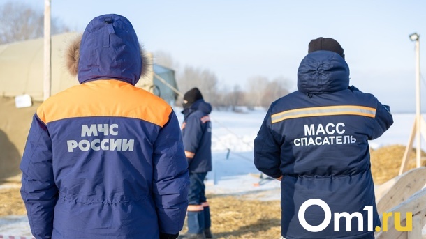 В Новосибирске спасатели нашли тела двух мёртвых мужчин