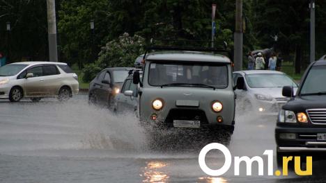 В Омске началась гроза с сильным ливнем