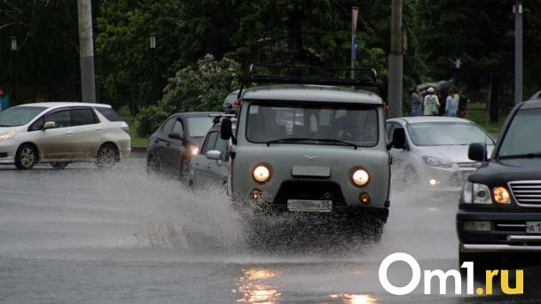 В Омске началась гроза с сильным ливнем