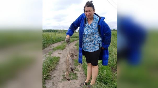 Найденная под Новосибирском чупакабра — собака без шерсти, заявили ветеринары