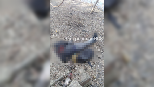 Под Новосибирском мужчина мог подорваться на гранате