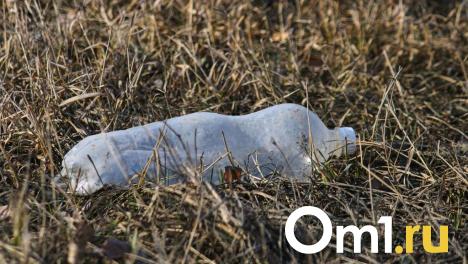 В Омской области выделили 112 миллионов на ликвидацию 40 свалок